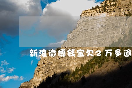 新浪微博钱宝欠2万多逾期一年 新浪微博钱宝欠2万多逾期一年