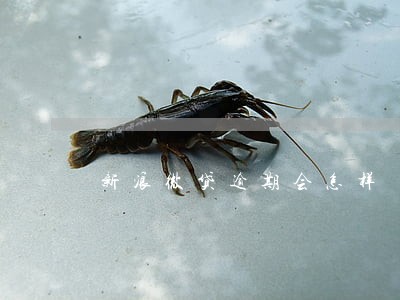 新浪微贷逾期会怎样 新浪微贷逾期会怎样