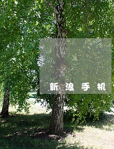 新浪手机分期逾期几天怎么办 新浪手机分期逾期几天怎么办