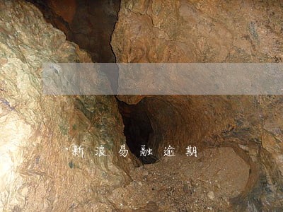 新浪易融逾期