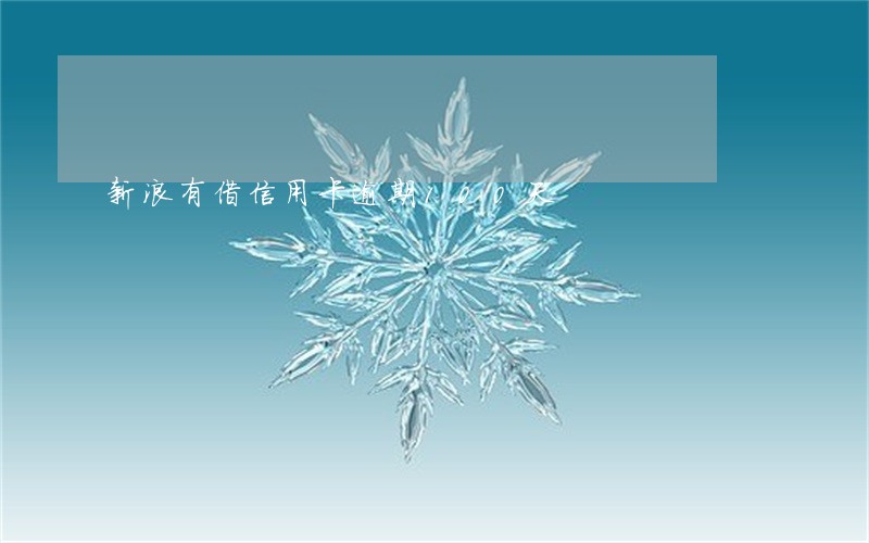 新浪有借信用卡逾期100天