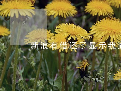 新浪有借还了显示我逾期 新浪有借还了显示我逾期