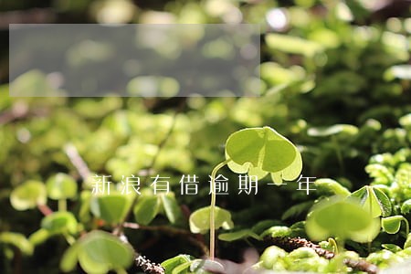 新浪有借逾期一年 新浪有借逾期一年
