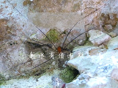 新浪有借逾期三年 新浪有借逾期三年