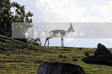 新浪有借逾期催收 新浪有借逾期催收