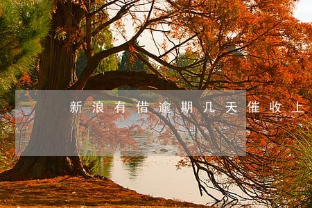 新浪有借逾期几天催收上征信 新浪有借逾期几天催收上征信
