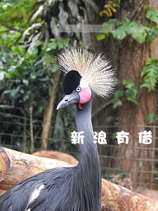 新浪有借逾期后还能借款吗 新浪有借逾期后还能借款吗