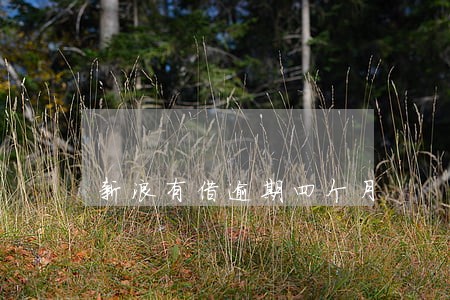 新浪有借逾期四个月 新浪有借逾期四个月