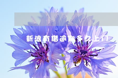 新浪有借逾期多久上门 新浪有借逾期多久上门