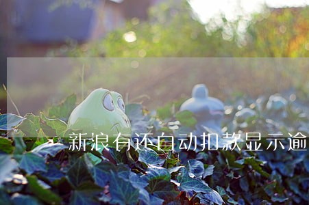 新浪有还自动扣款显示逾期