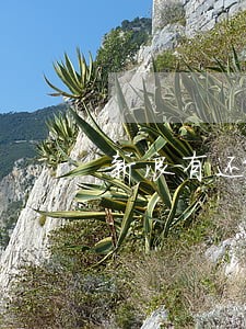 新浪有还逾期两天 新浪有还逾期两天