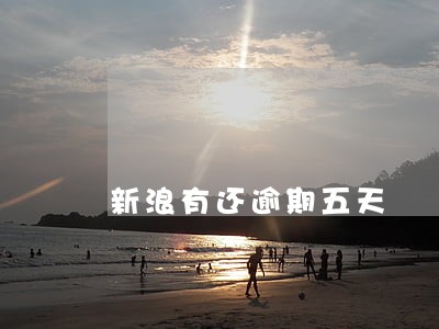 新浪有还逾期五天 新浪有还逾期五天