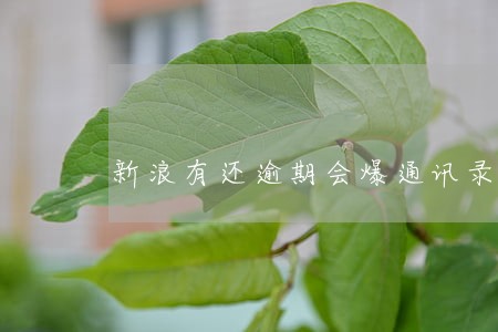 新浪有还逾期会爆通讯录吗 新浪有还逾期会爆通讯录吗