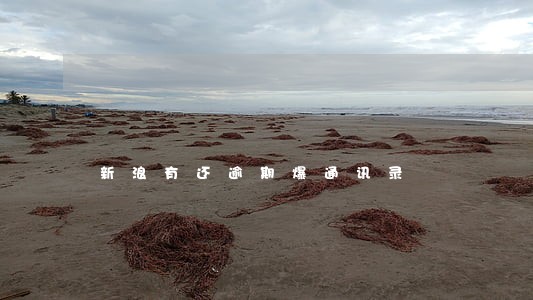 新浪有还逾期爆通讯录 新浪有还逾期爆通讯录
