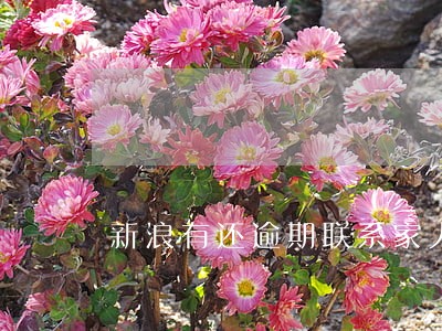 新浪有还逾期联系家人 新浪有还逾期联系家人