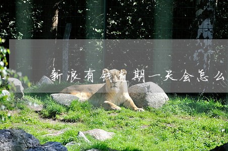 新浪有钱逾期一天会怎么样 新浪有钱逾期一天会怎么样