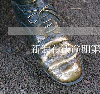 新浪有钱逾期第二天上征信吗 新浪有钱逾期第二天上征信吗