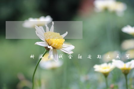 新浪有钱金融逾期三天可以吗 新浪有钱金融逾期三天可以吗