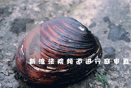 新浪法院频道进行庭审直播录播 新浪法院频道进行庭审直播录播