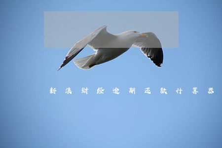 新浪财经逾期还款计算器 新浪财经逾期还款计算器