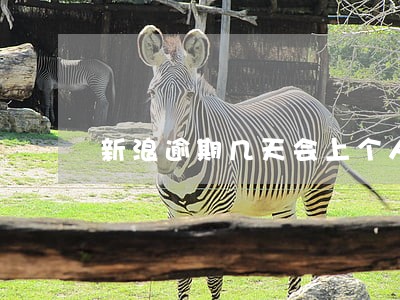 新浪逾期几天会上个人征信 新浪逾期几天会上个人征信