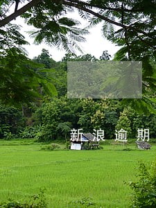 新浪逾期几天会怎么处理 新浪逾期几天会怎么处理