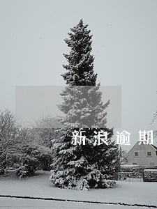 新浪逾期能买车吗 新浪逾期能买车吗