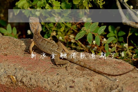 新浪金融借款逾期了 新浪金融借款逾期了