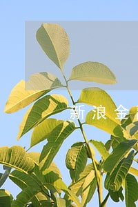 新浪金融分期逾期三个月了 新浪金融分期逾期三个月了