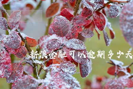 新浪金融可以逾期多少天 新浪金融可以逾期多少天
