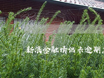 新浪金融情侣卡逾期怎么办 新浪金融情侣卡逾期怎么办