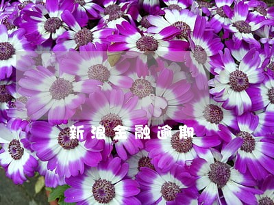新浪金融逾期 新浪金融逾期