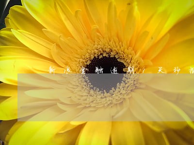 新浪金融逾期1天秒拒绝 新浪金融逾期1天秒拒绝