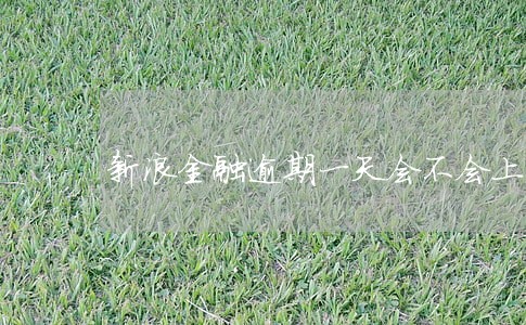 新浪金融逾期一天会不会上征信 新浪金融逾期一天会不会上征信