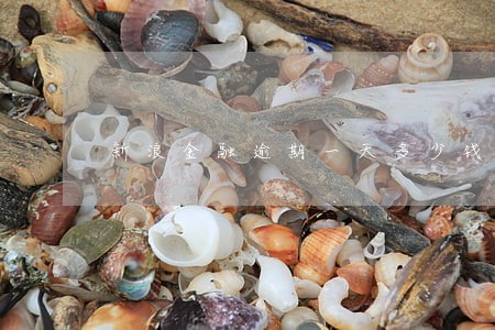 新浪金融逾期一天多少钱 新浪金融逾期一天多少钱