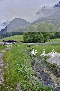 新浪金融逾期了会怎样 新浪金融逾期了会怎样