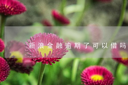 新浪金融逾期了可以借吗 新浪金融逾期了可以借吗