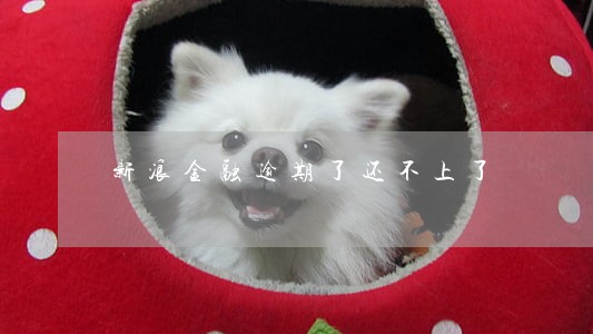 新浪金融逾期了还不上了 新浪金融逾期了还不上了