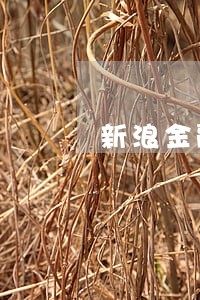 新浪金融逾期会上征信吗