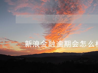 新浪金融逾期会怎么样 新浪金融逾期会怎么样