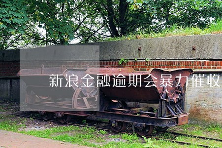 新浪金融逾期会暴力催收吗 新浪金融逾期会暴力催收吗