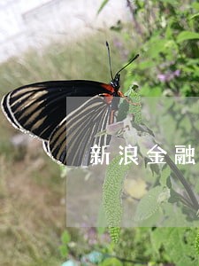 新浪金融逾期后新浪邮箱会影响吗