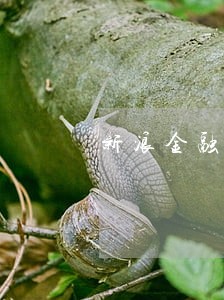 新浪金融逾期多久上征信 新浪金融逾期多久上征信