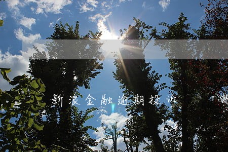新浪金融逾期投诉 新浪金融逾期投诉