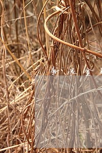 新浪金融逾期说要到村委会查 新浪金融逾期说要到村委会查