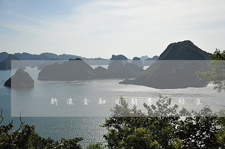 新浪金融逾期费用标准 新浪金融逾期费用标准