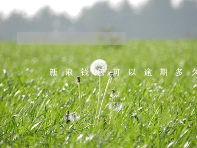 新浪钱包可以逾期多久 新浪钱包可以逾期多久