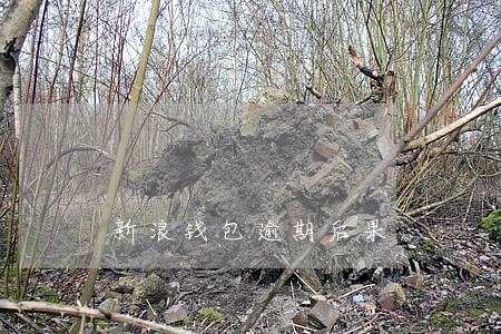 新浪钱包逾期后果 新浪钱包逾期后果