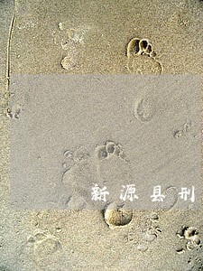新源县刑事赔偿在线律师 新源县刑事赔偿在线律师