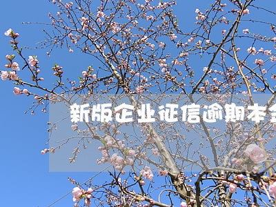新版企业征信逾期本金 新版企业征信逾期本金